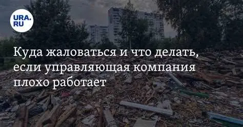 4. Проверьте наличие лицензии и договора