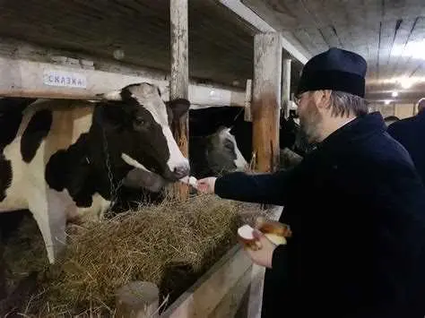 Поддержка молодых фермеров
