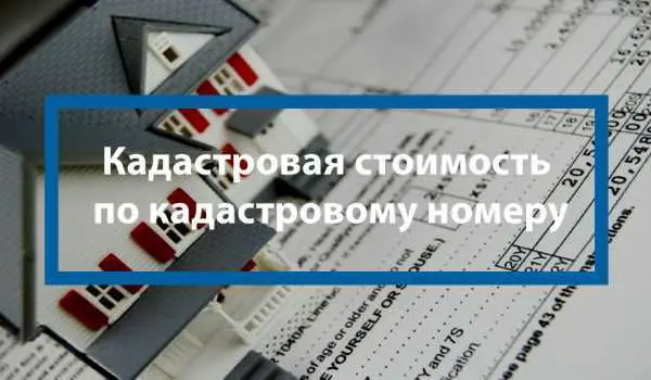 Особенности работы кадастровой палаты