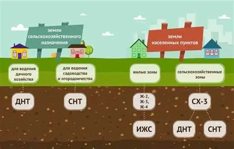 Популярность и спрос на ДНТ и СНТ