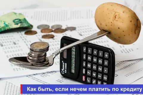 Как выбрать подходящего поручителя