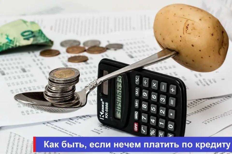Как выбрать подходящего поручителя