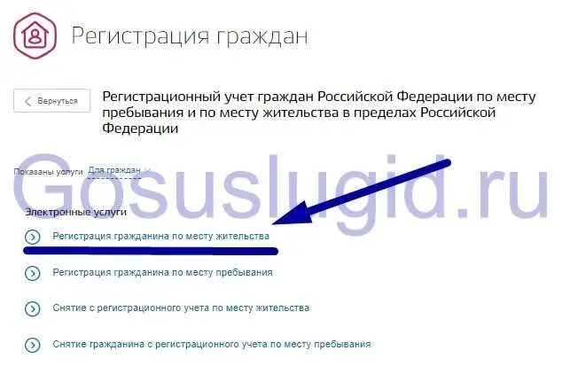 Государственная поддержка