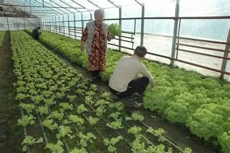 Возможность заняться садоводством