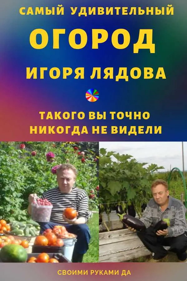 Шаг 5: Проверка юридической чистоты