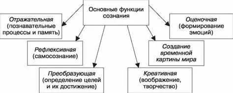 Какие функции выполняет регистрационная палата в сфере нотариата?