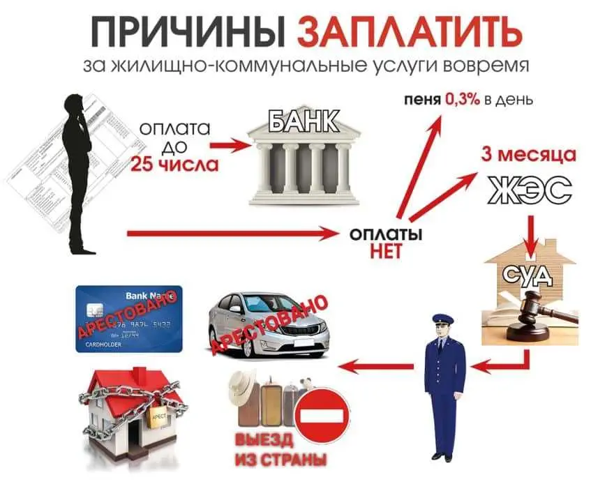 Даты оплаты