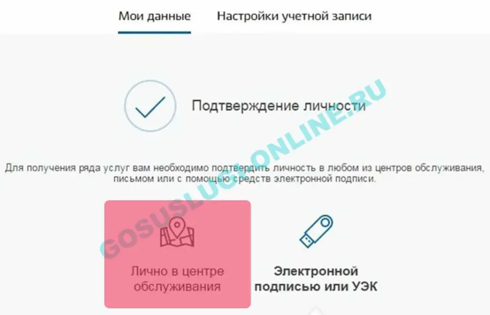 Перспективы электронной системы