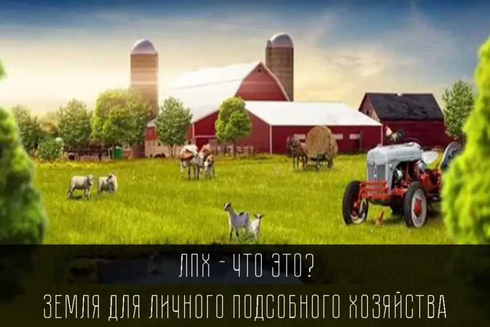 1. Возможности использования земельных участков