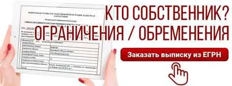 Как получить выписку из ЕГРН через руководителя Росреестра?