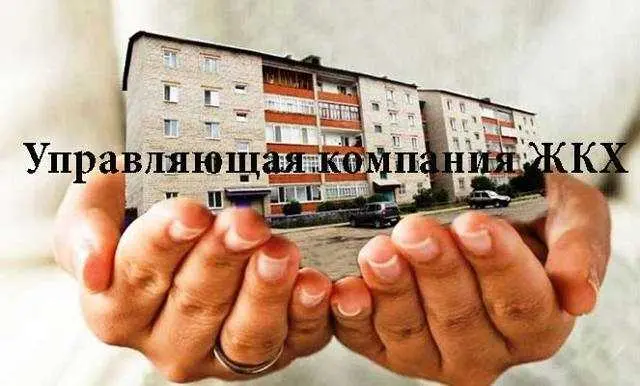 5. Помощь органов местной власти