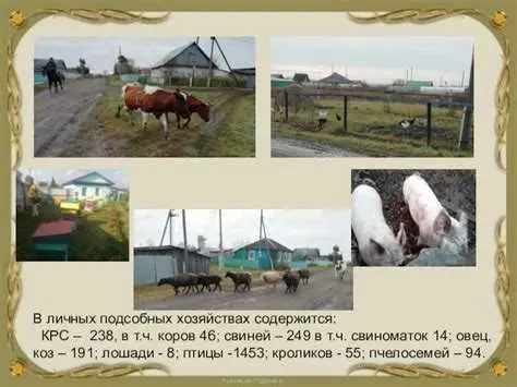 Использование участка ИЖС для ведения ЛПХ
